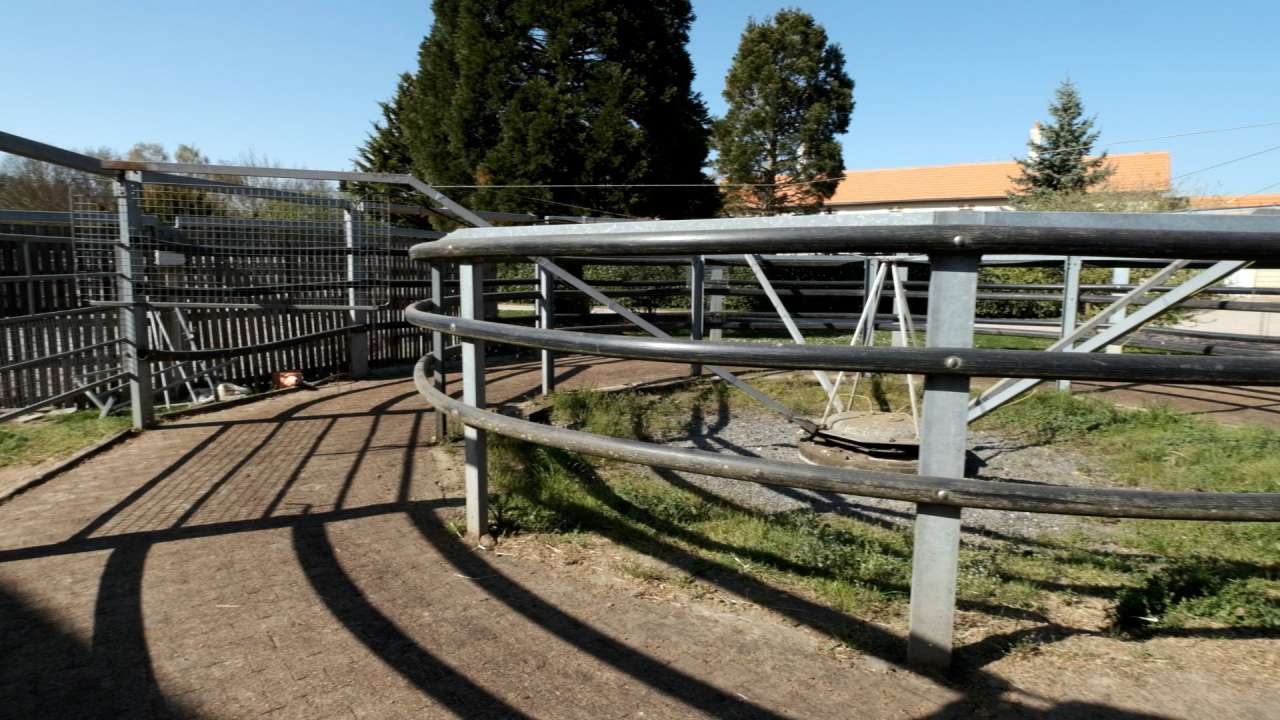 Wonderful opportunity to acquire a fabulous equestrian estate nestling in o