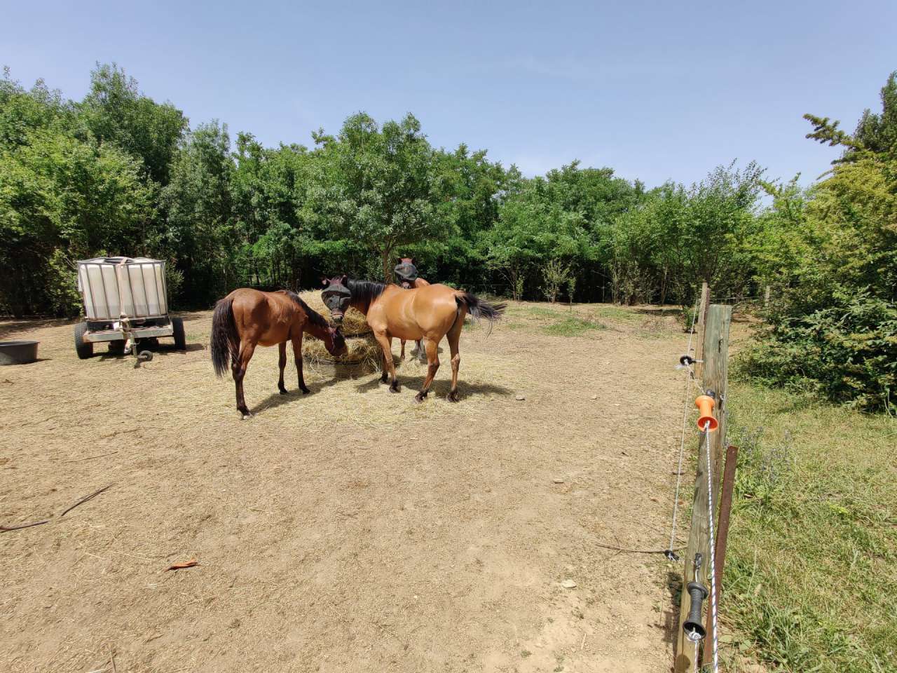 Located in a quiet setting on the edge of Limoux and with a total of 7 bedr