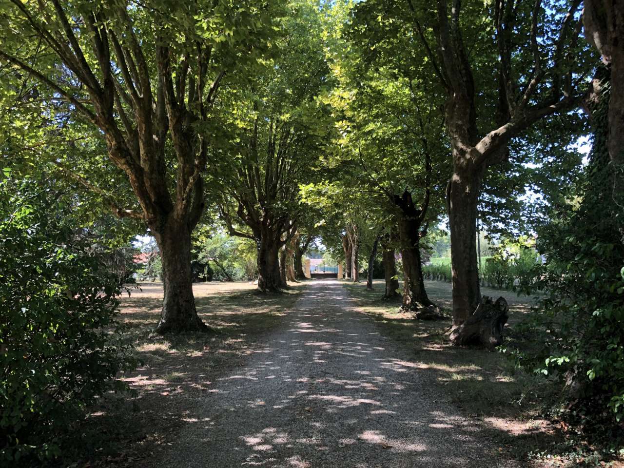 Fabulous character manor house with 2 gites, swimming pool and 5 acres of p