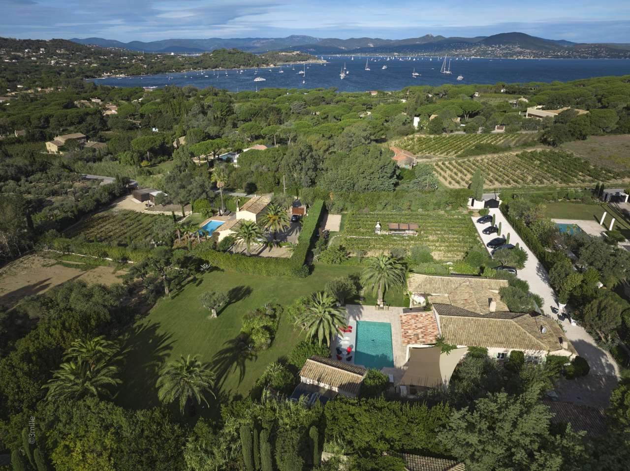 Enjoying panoramic sea views across the vineyards from its ideal location n