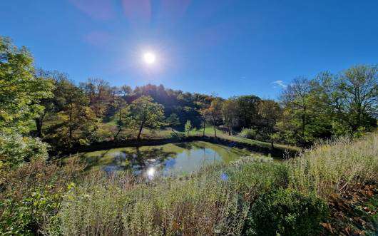Beautifully renovated 15 bedroom farmhouse with gites, nestling in 21 hecta