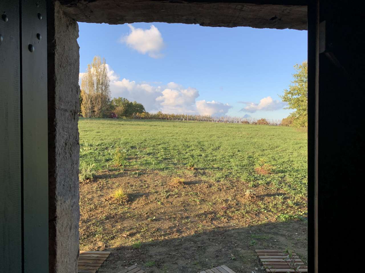 Situated on the outskirts of Sauveterre de Guyenne, this beautiful 4 bedroo