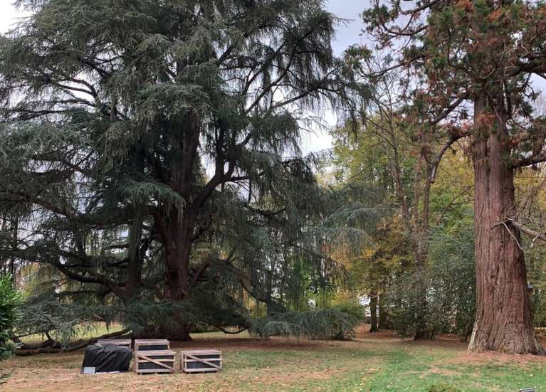 Nestling in 1.9 hectares of glorious land is this beautifully renovated 12