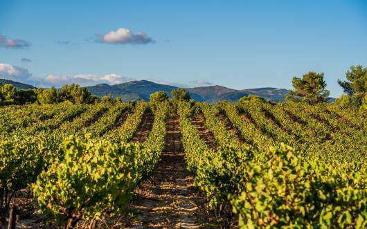 Grand and spacious 16 bedroom stone built farmhouse, situated in a quiet se