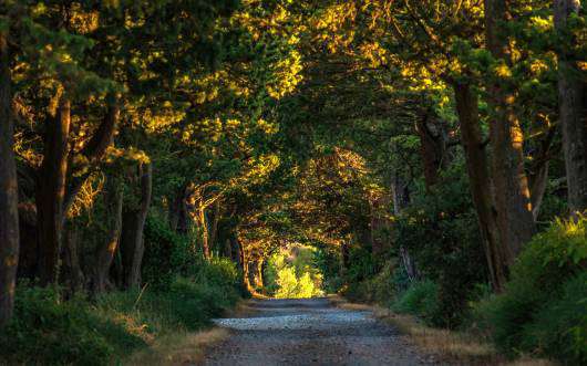 Grand and spacious 16 bedroom stone built farmhouse, situated in a quiet se