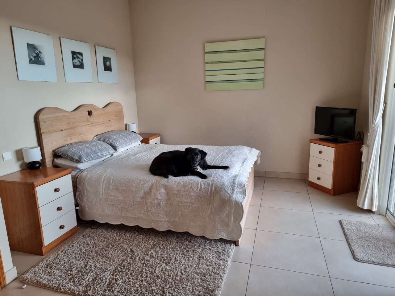 Inviting and well maintained 4 bedroom house, set in a quiet within a large