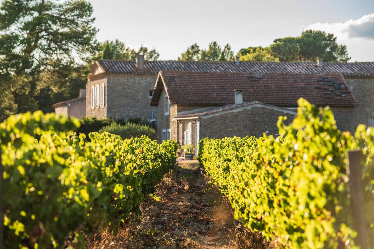 Unique opportunity to acquire a marvellous property with pool, 3 gites, a 4