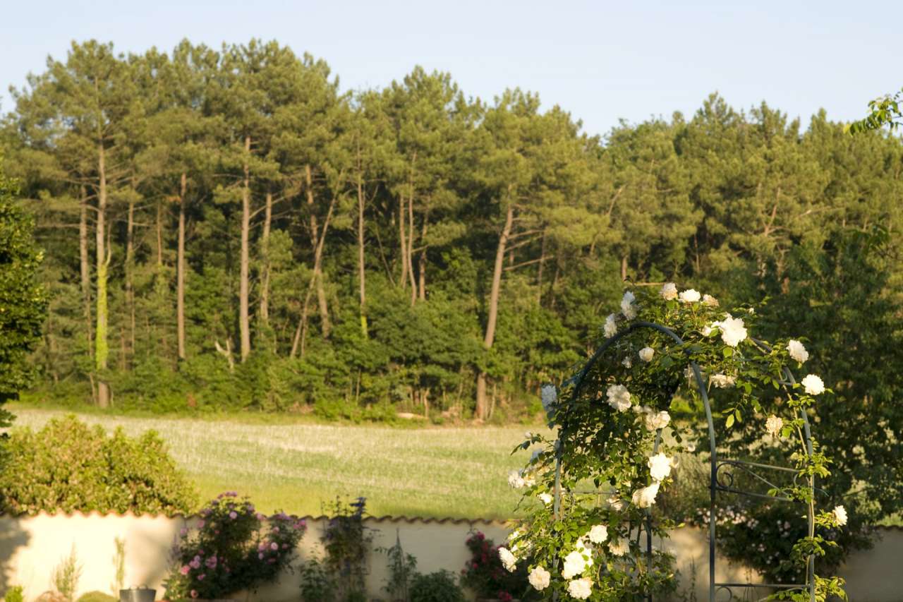 Spacious and immaculately presented 5 bedroom stone built house, ideally si