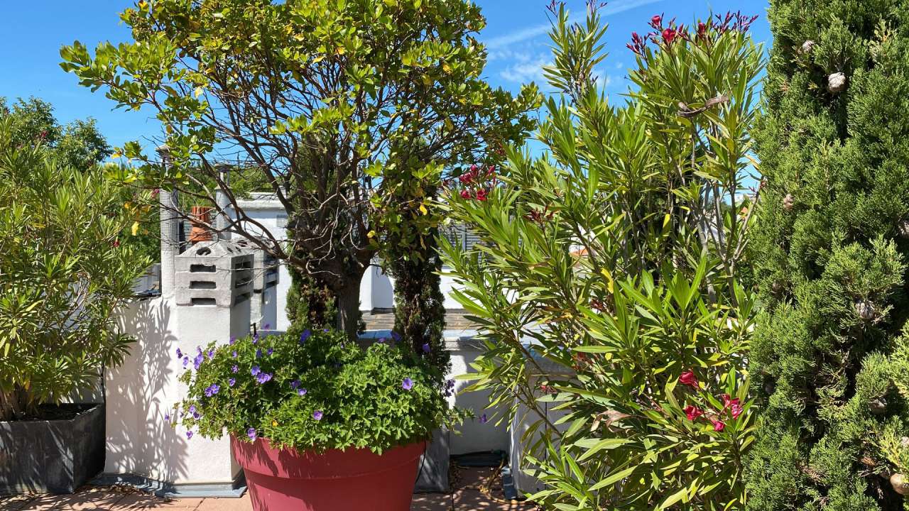 Enjoying panoramic sea views from its roof terrace, is this beautifully ren