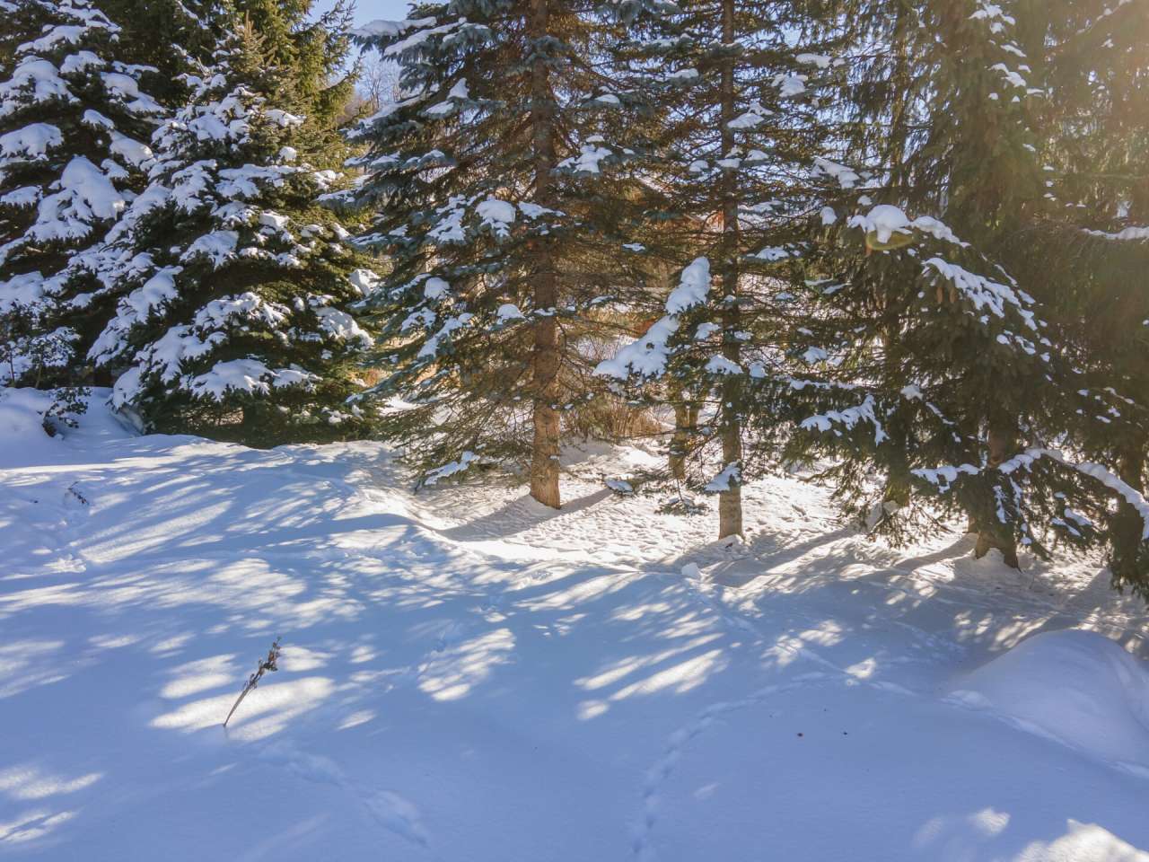 Luxurious 3 bedroom apartment, which is ideally situated within a highly so