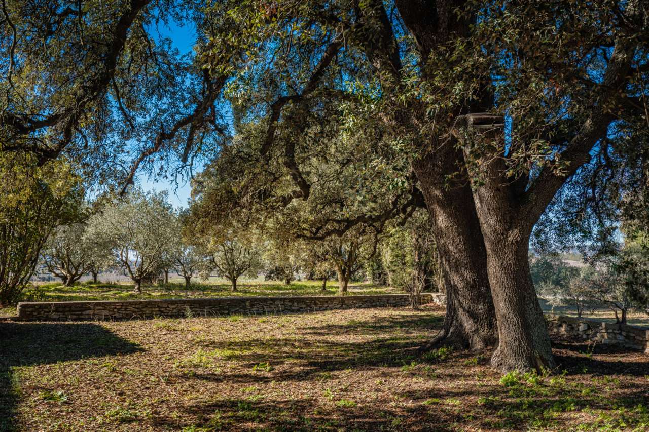Charming 3 bedroom stone built farmhouse, ideally situated in a quiet setti