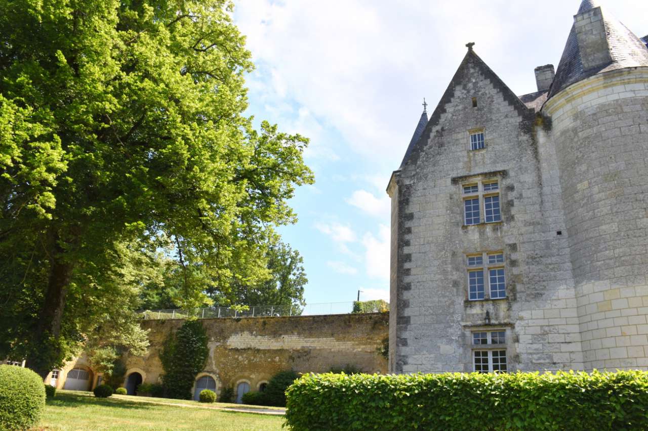 Historical 15 bedroom Chateau for sale with countryside view in Loches