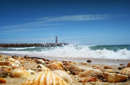 Faro Algarve shoreline near Prestige Property Group