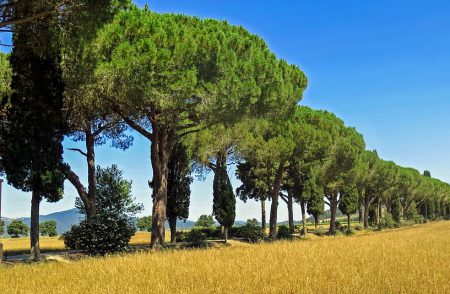 Tuscany landscape near Prestige Property Group