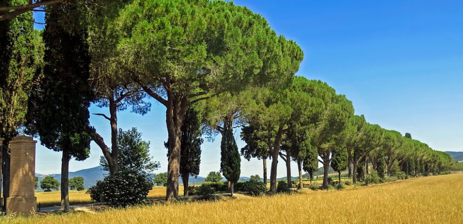 Tuscany landscape near Prestige Property Group