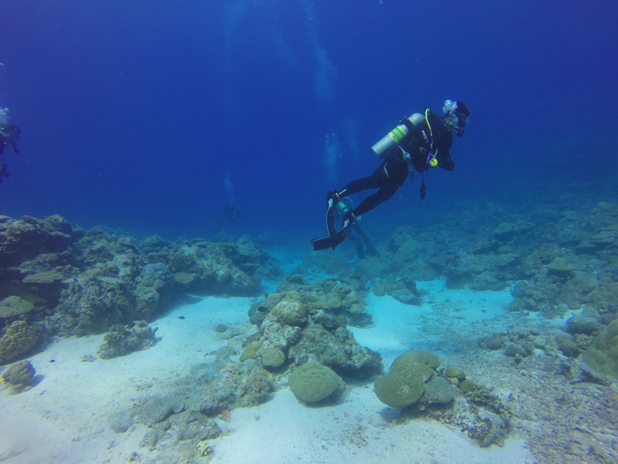 - Scuba diving in the Mediterranean Sea 
